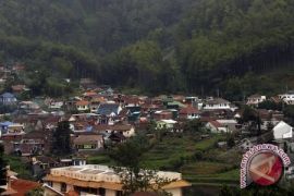 Vila Ilegal di Bali Sulit Ditindak