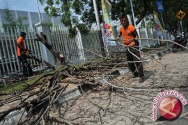 Tebang Pohon Tanpa Izin Diancam Pidana