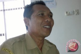 Disperindagkop Penajam Akan Survei Lonjakan Harga Daging 