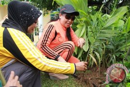 Penjualan tanaman hias di Palembang meningkat