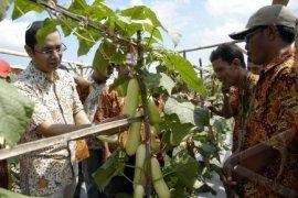 EWINDO Dorong Petani Tingkatkan Produksi Benih Nasional
