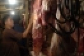 Persediaan Daging Sapi Jelang Ramadhan Aman di Agam