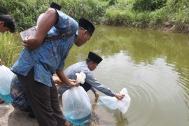 Sawahlunto Re-Stocking 300 Ribu Bibit Ikan 2016