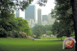 Pembangunan RTH di Penajam Batal Dilaksanakan