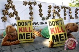 Profauna serahkan petisi internasional tindak perdagangan penyu