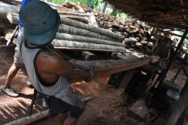 Kayu Kelapa Olahan Padangpariaman Tembus Pasar Korea