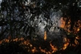Titik Panas Riau Berkurang Drastis