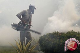Cegah DBD, 40 Titik Di Sukabumi Akan Difogging