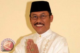 Hama Babi Serang Tanaman Jagung Petani Mamuju 