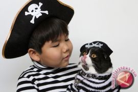 Interaksi dengan hewan bangun kecerdasan anak