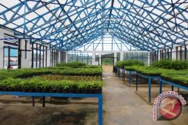 Menilik  Green  House  Milik  PT. Kideco
