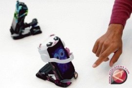 Robot Penyiram Tanaman Dari Michelle dan Jocelyn