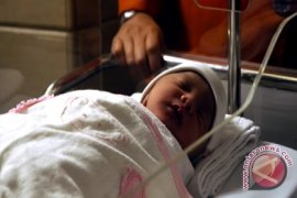 Bayi Tabung Teknologi Terbaru Dan Murah Dilahirkan