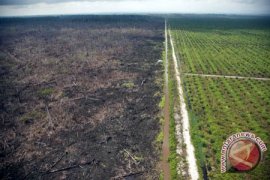 Legislator Kalteng Minta Permentan No98/2013 Dicabut 