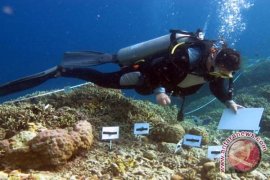  Jepang-Indonesia Transplantasi Terumbu Karang