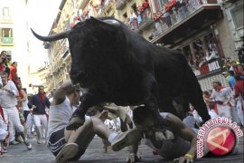 Festival San Fermin, Banteng Seruduk Tiga Pria