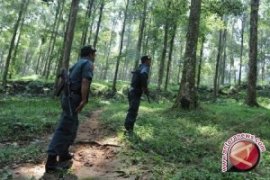 Polhut Tangkap Seorang Perambah Taman Nasional 