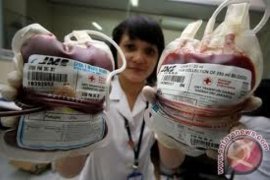 Seribu kantong darah disumbangkan anak muda Bengkalis