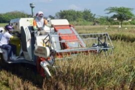 Dukung Swasembada Pangan, Dinas PSDA Benahi Daerah Irigasi