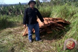 Balai TNK Sita Kayu Ulin Curian 