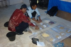 Unand Teliti Kulit Kentang Sebagai Pakan Puyuh