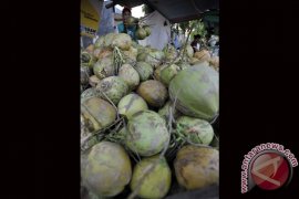 KELAPA MUDA Page 3 Small