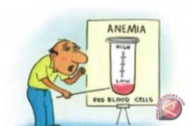 Anemia Tingkatkan Risiko Demensia Bagi Orang Tua 