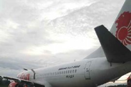 Polisi Belum Temukan Pemilik Sapi Di Bandara 