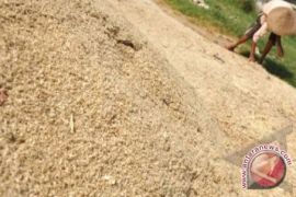 Sisik Ikan Disulap Jadi Penyerap Kromium