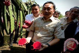 Kunjungan Kerja Menteri Kehutanan ke Balai Pelatihan dan Pengembangan Masyarakat (BPPM) Sinarmas Forestry