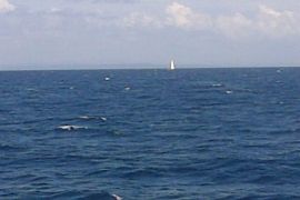 Semua Peserta Konvoi Kapal `Yacth` Tinggalkan Wakatobi