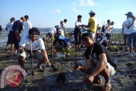 Dinas Perikanan Denpasar Ajak Siswa Tanam Mangrove