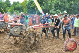 Lapsus - SOSOSK PEKERJA KERAS