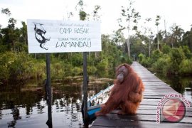 Menpar gandeng mitra global kembangkan pariwisata