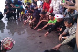 Peserta Festival Legian Lepas Tukik Di PantaI 