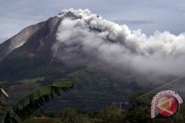 Erupsi gunung sinabung beri keuntungan petani Simalungun