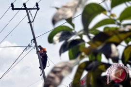 Pengamat harapkan tender pembangkit PLN transparan