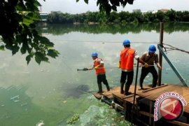 Ecoli  Lebihi Ambang Batas 