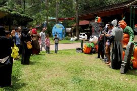"Safari Malam" TSI suguhkan tradisi "halloween"
