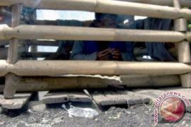 Peluncuran NTB Bebas Pasung dijadwalkan 30 oktober 2013