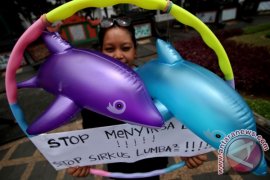 Hentikan Eksploitasi Lumba-Lumba Page 1 Small