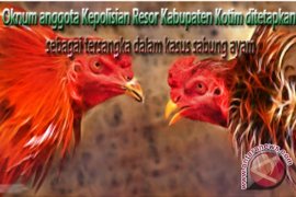 Penahanan Oknum Polisi Kasus Sabung Ayam Diperpanjang 