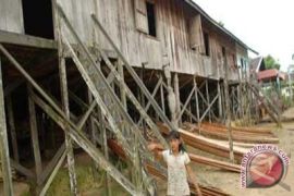 Murung Raya kembangkan wisata rumah adat Dayak 