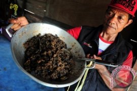 Masak Daging Orangutan