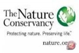 TNC sambut baik Perda perkebunan Kaltim