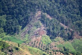 Membalak liar di hutan lindung Cagar Biosfer, enam pelaku ditangkap polisi