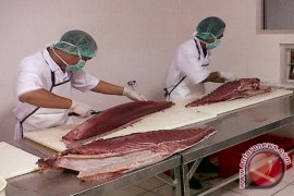 PPI Donggala Miliki Pabrik Pengolahan Ikan