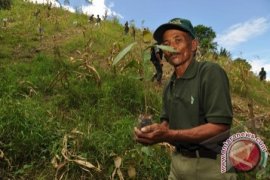Taman Nasional Bina Komunitas Adat Dongi-dongi 