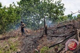 Sebanyak 50 KK Perambah Hutan Di Sigi Direlokasi 