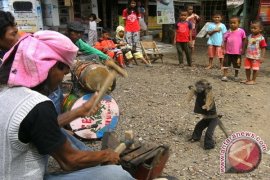 Permainan Topeng Monyet  Dipantau